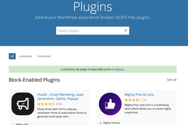 wordpress plugin